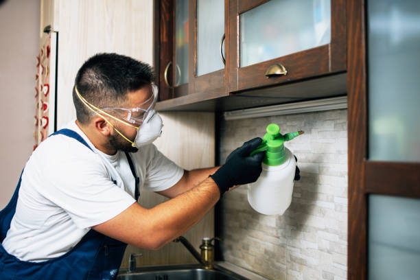 Best Emergency Pest Control  in Pine Ridge, SC