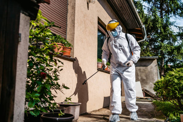 Best Flea Control Services  in Pine Ridge, SC