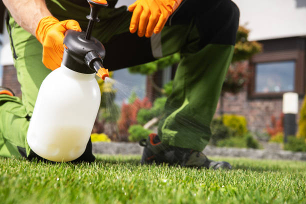 Best Commercial Pest Control Services  in Pine Ridge, SC