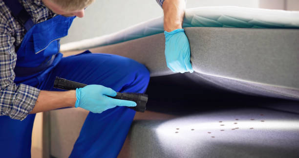 Best Local Pest Control Services  in Pine Ridge, SC