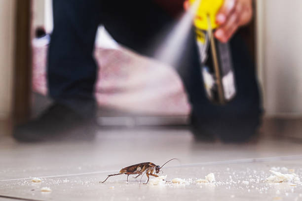 Best Bed Bug Extermination  in Pine Ridge, SC